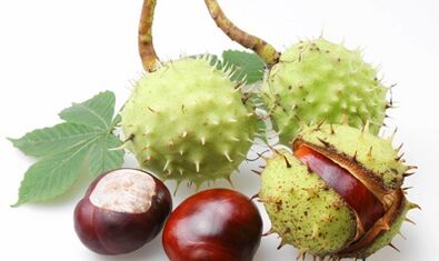 Konjski kostanj iz varikoznih žil spodnjih okončin
